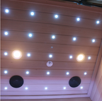 Revive Plunge 2-Person Traditional Sauna – Compact Luxury Home Sauna for Deep Detox & Relaxation